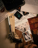 INSANE ASYLUM - CASE FILE