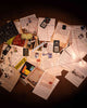 INSANE ASYLUM - CASE FILE